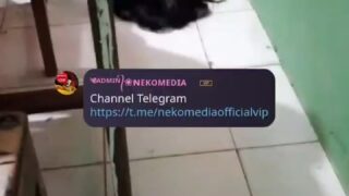 Abg New Viral Terbaru 2025 Ketagihan Dengan Paha Slebew New Top Trending Viral Wikwik